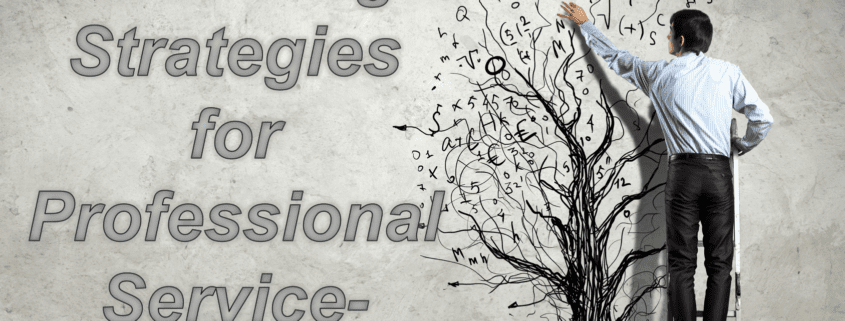 Marketing Professional Services 1