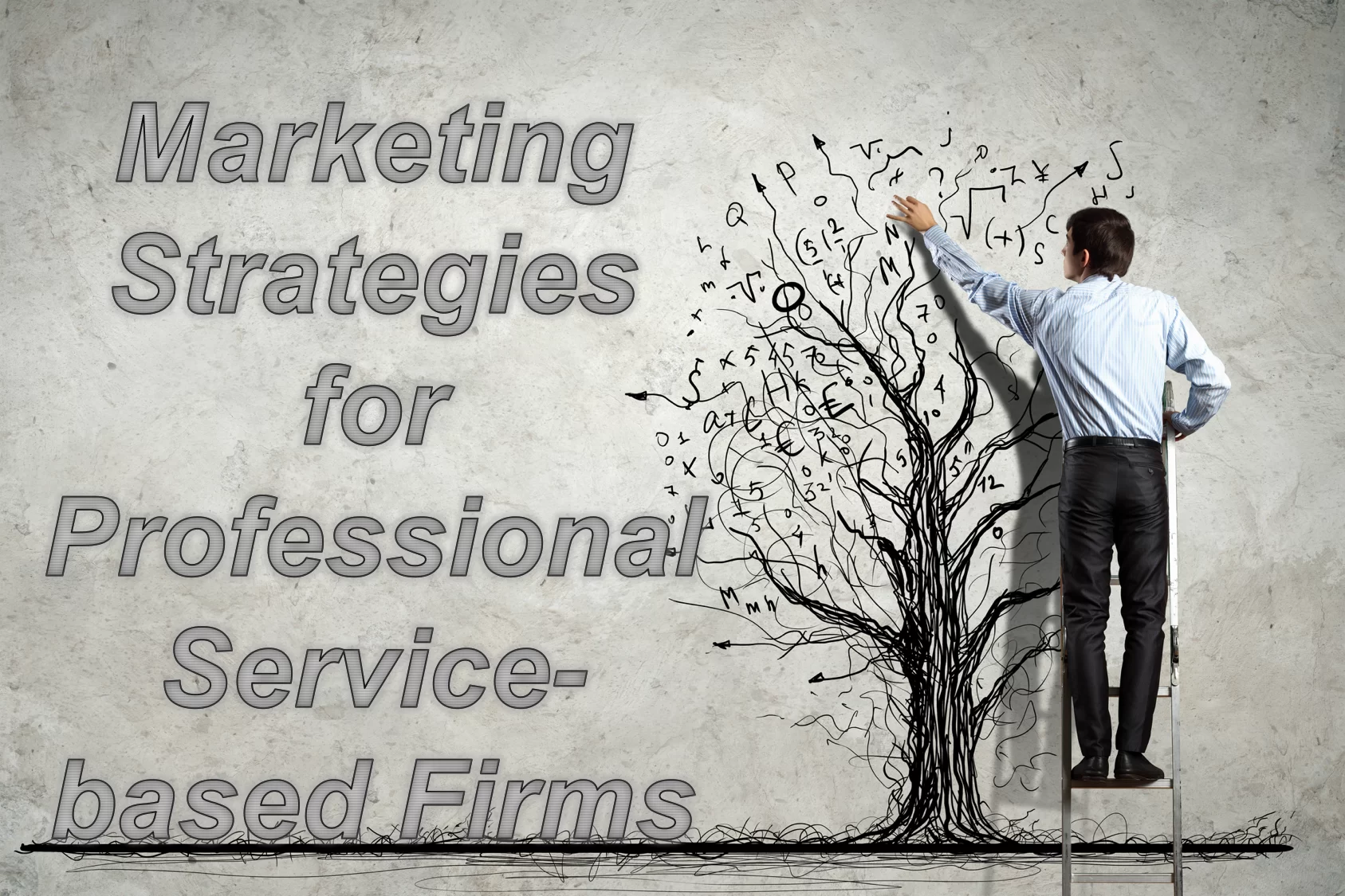 Marketing Strategies for Professional Services-based Firms