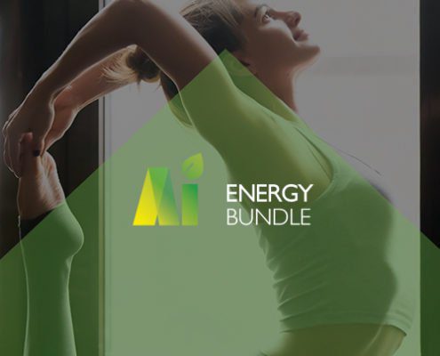 Energy Bundle
